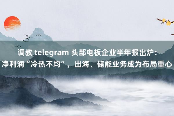 调教 telegram 头部电板企业半年报出炉：净利润“冷热不均”，出海、储能业务成为布局重心