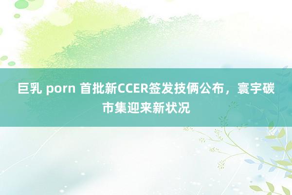 巨乳 porn 首批新CCER签发技俩公布，寰宇碳市集迎来新状况