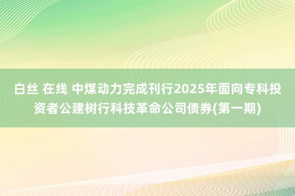 白丝 在线 中煤动力完成刊行2025年面向专科投资者公建树行科技革命公司债券(第一期)